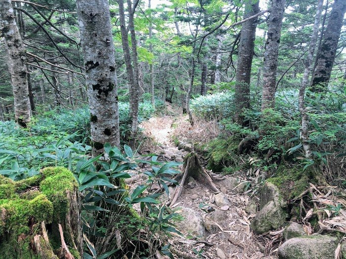 Mt. Ena-阿智村必去景点