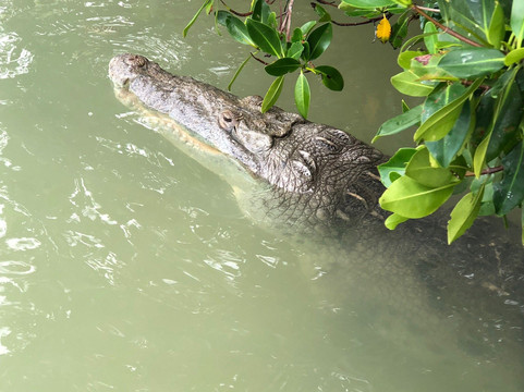 Xentour Mx-巴利亚多利德必去景点