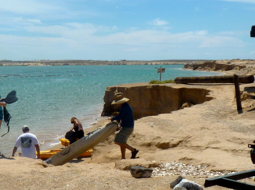 Kayak Rocky Point景点图片