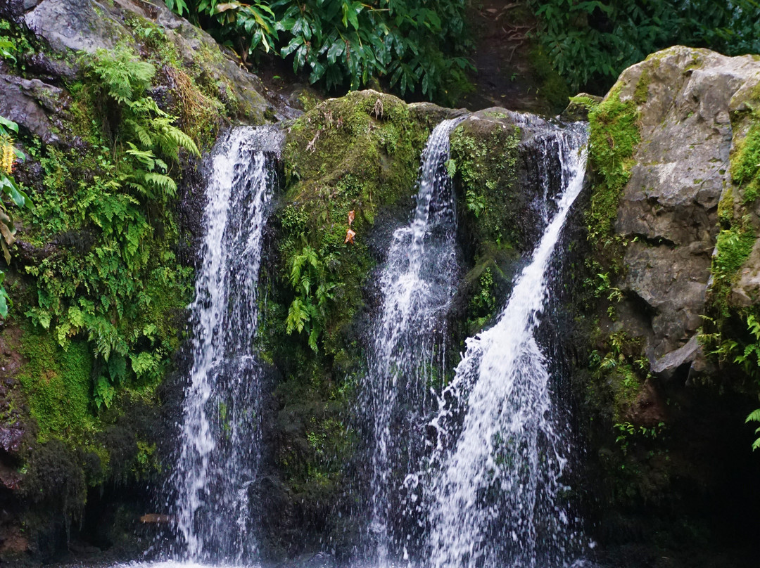 Parque Natural da Ribeira dos Caldeirões景点图片