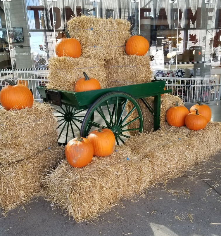 Hamilton Farmer's Market-汉密尔顿必去景点