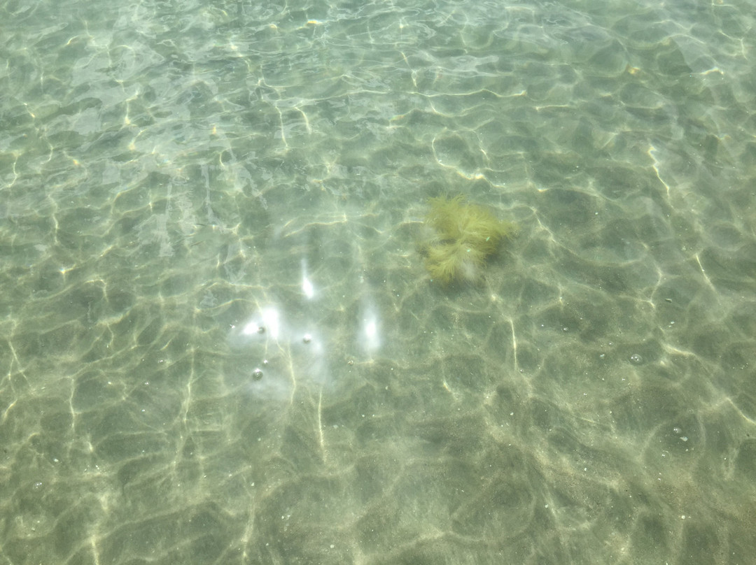 Balneario Punta Salinas-Toa Baja必去景点