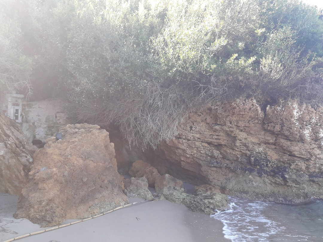 Skafidia Beach-Skafidia必去景点