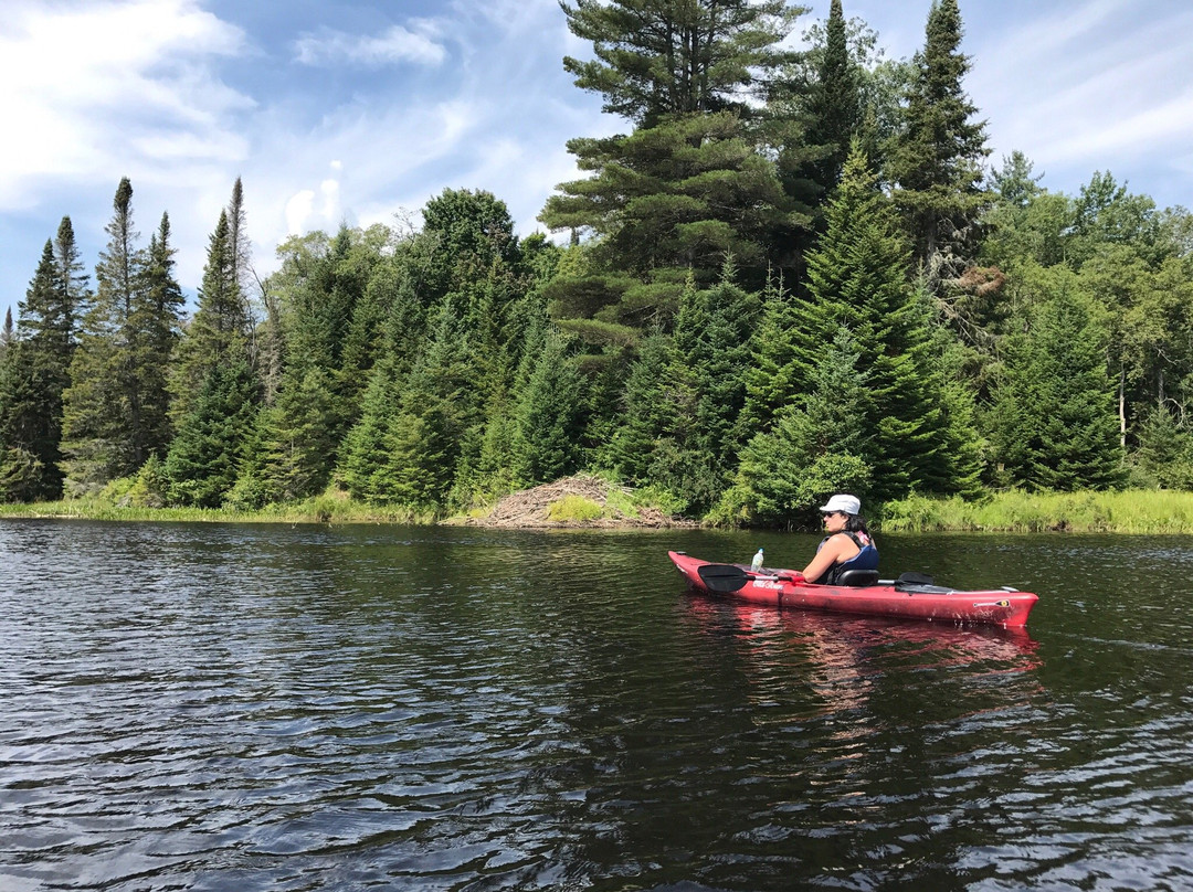 Tickner's Moose River Paddling Trails景点图片