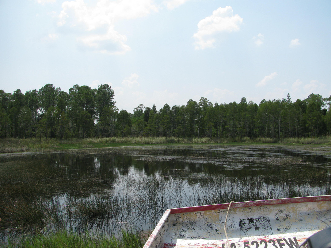 Gulf Coast Gator Ranch & Airboat Swamp Tours景点图片