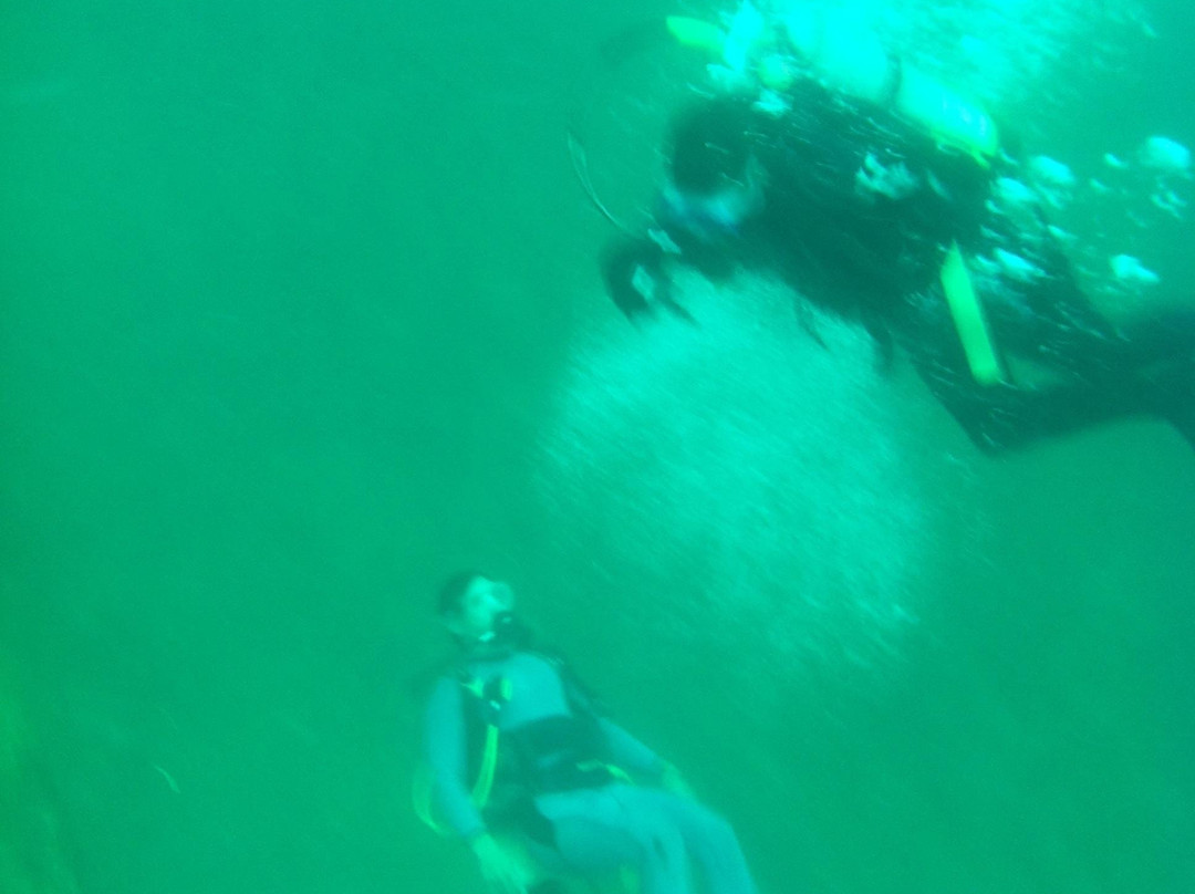 Due South Custom Charters-彭萨科拉必去景点