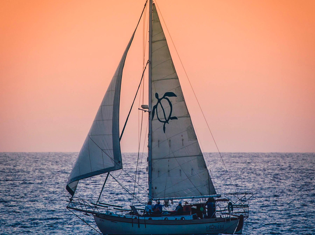 Kona Sail Charters-凯鲁瓦-柯纳必去景点