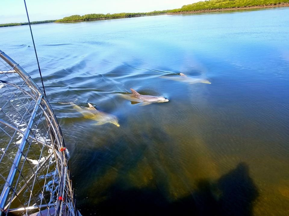 St Martins Marsh Aquatic Preserve景点图片