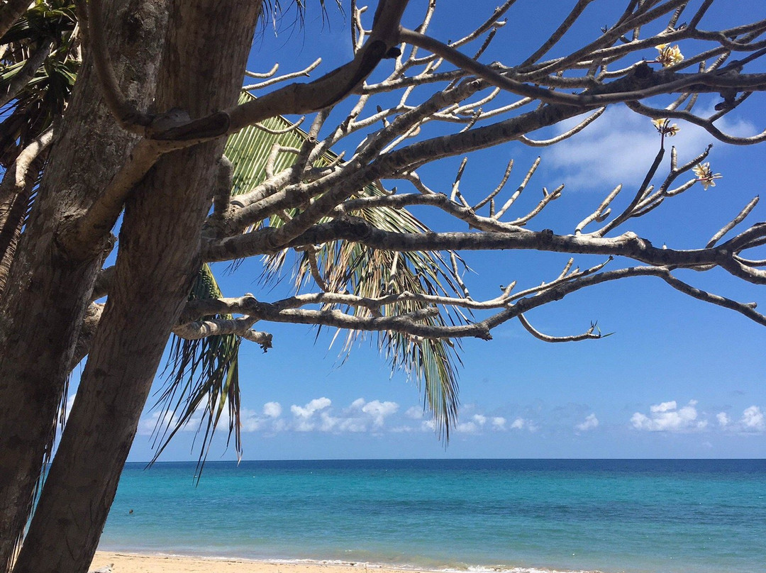 Le Maoré Lagoon Diving Center-Chirongui必去景点
