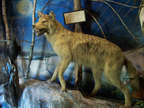 Beaver Springs Fishing Park-威斯康星峡谷必去景点