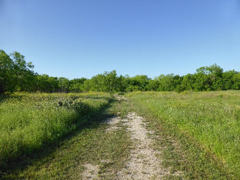 Jourdanton旅游景点-Medina River Natural Area