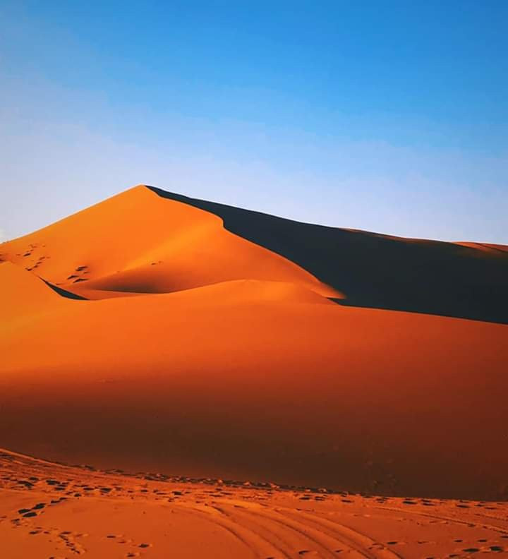 Desert Discovery Tours景点图片