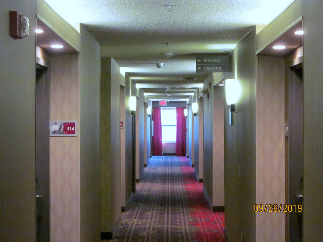 Hampton Inn Mt. Pleasant主图
