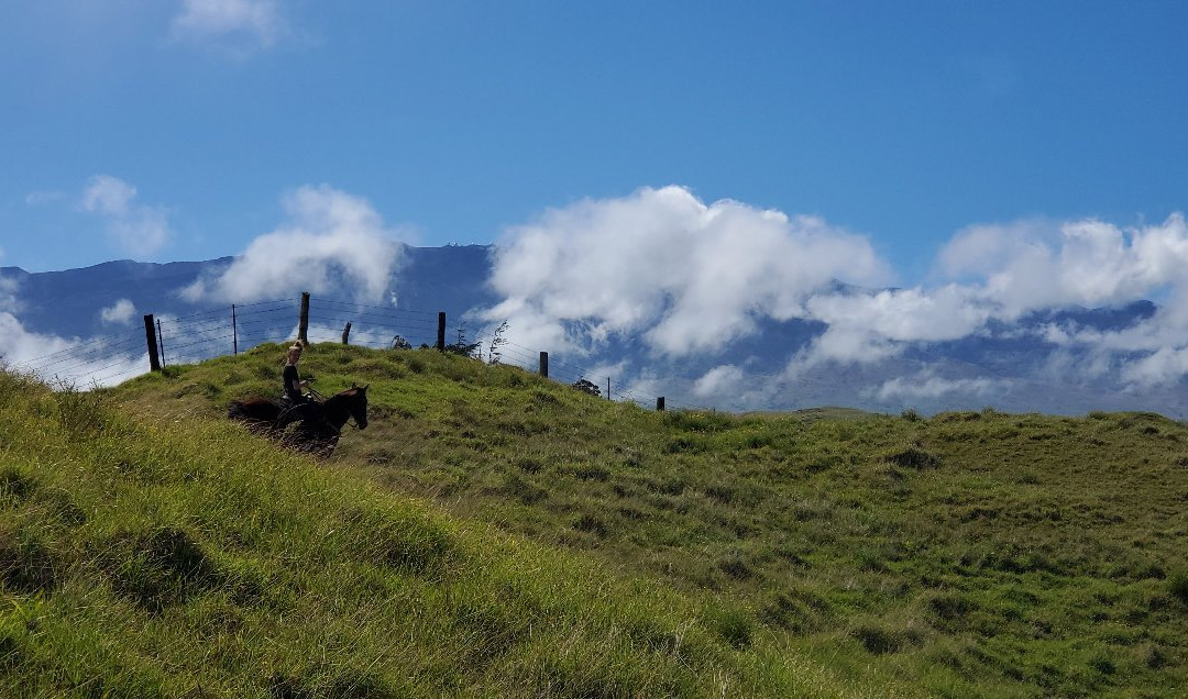 鲁达罗大农场-威可洛亚必去景点