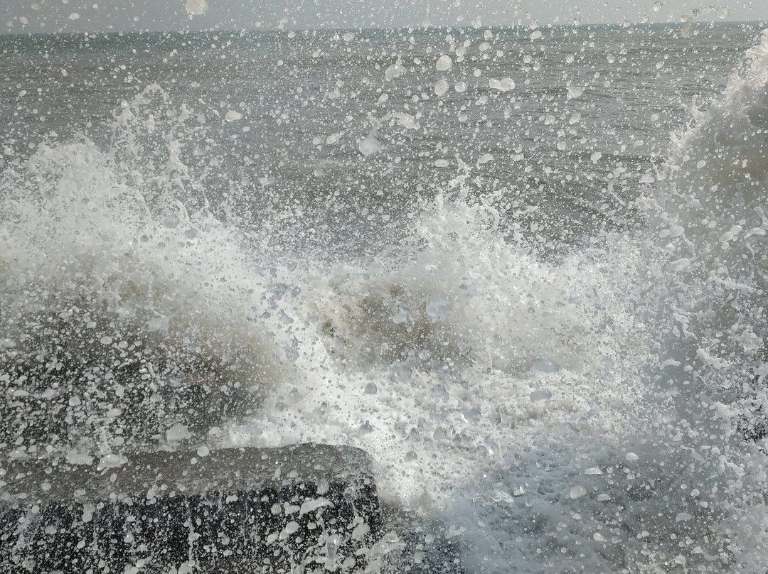 Shankarpur Beach景点图片