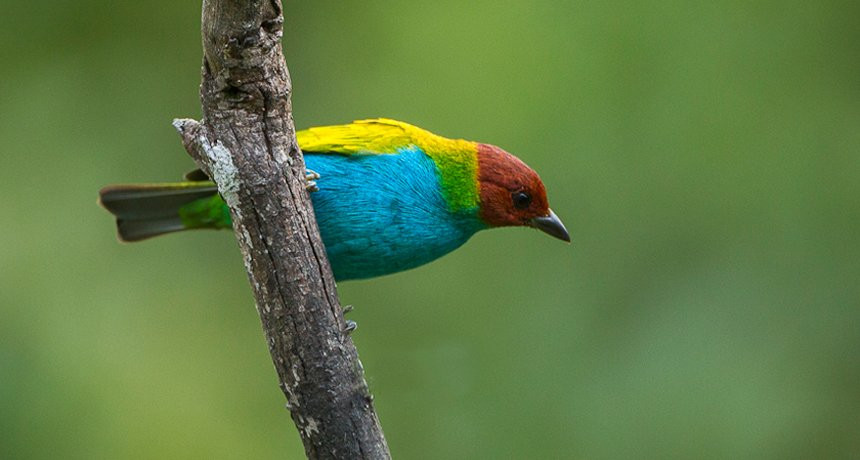 La Plata Parque Ecoturistico