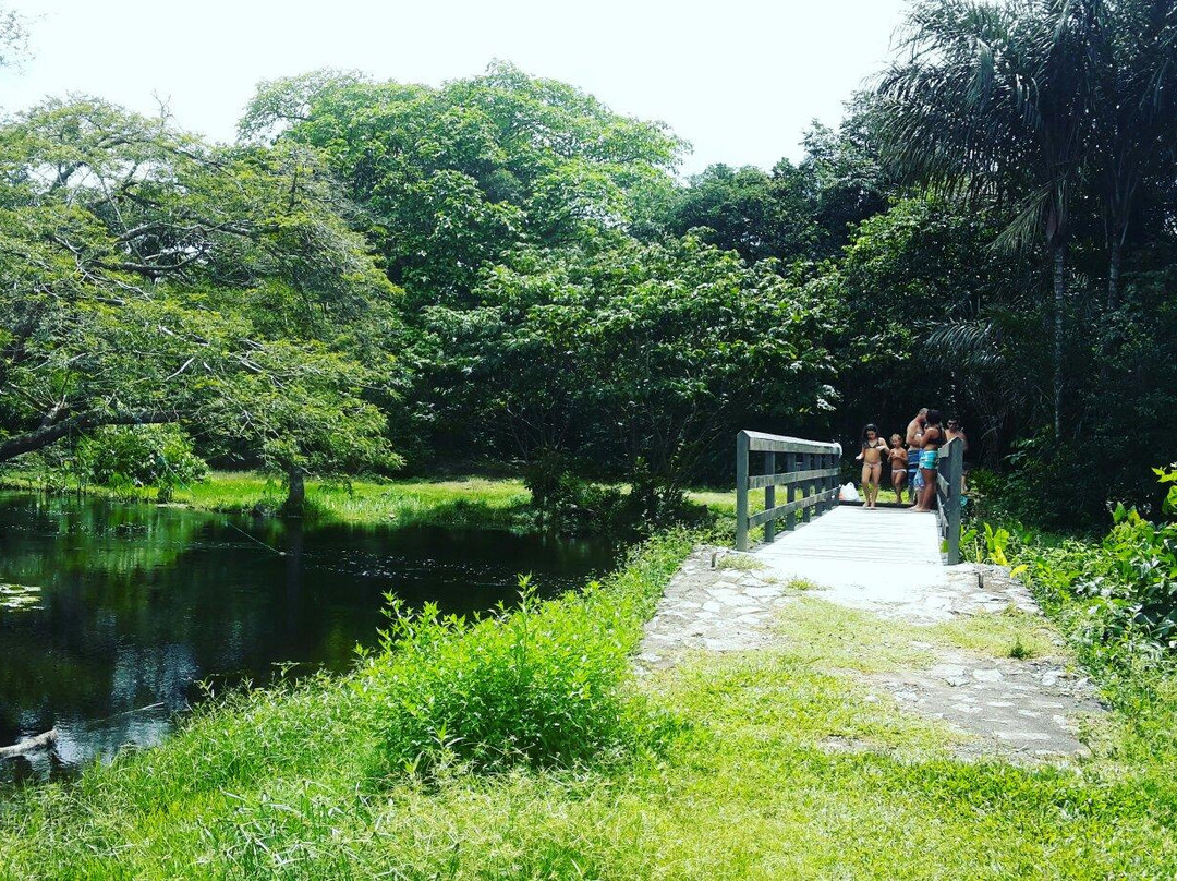 Crique Canceler-Sinnamary必去景点