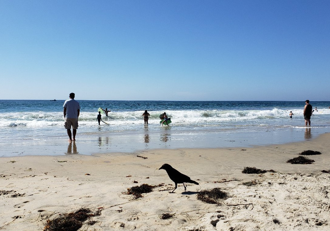 Salt Creek Beach景点图片