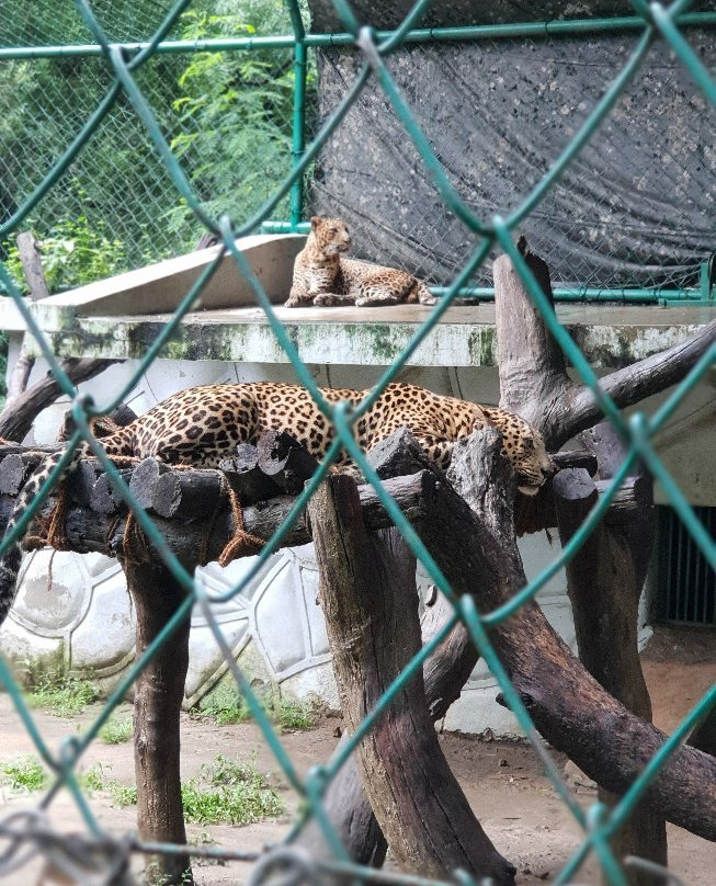 Kanpur Zoological Park景点图片