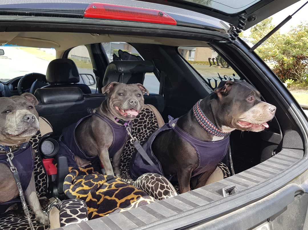 Yatala Drive-In Theatre-Yatala必去景点