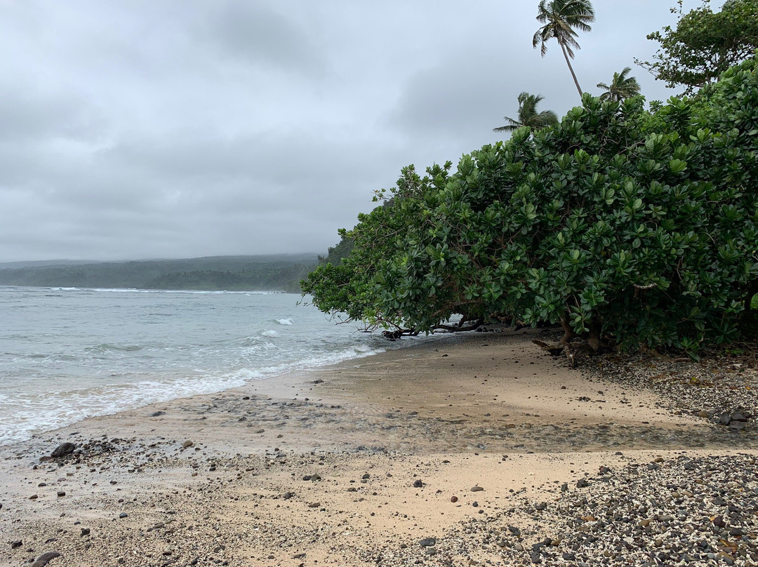 Lavena Coastal Walk景点图片