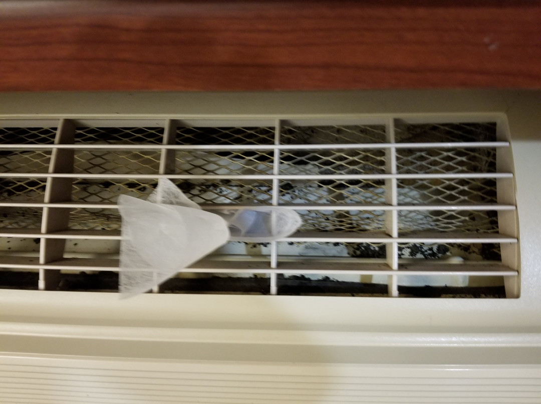 Microtel Inn & Suites By Wyndham Manistee主图