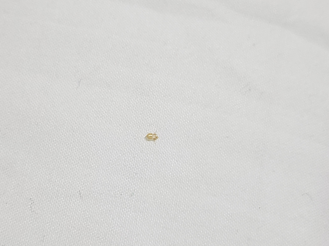 Hotel San Francisco主图