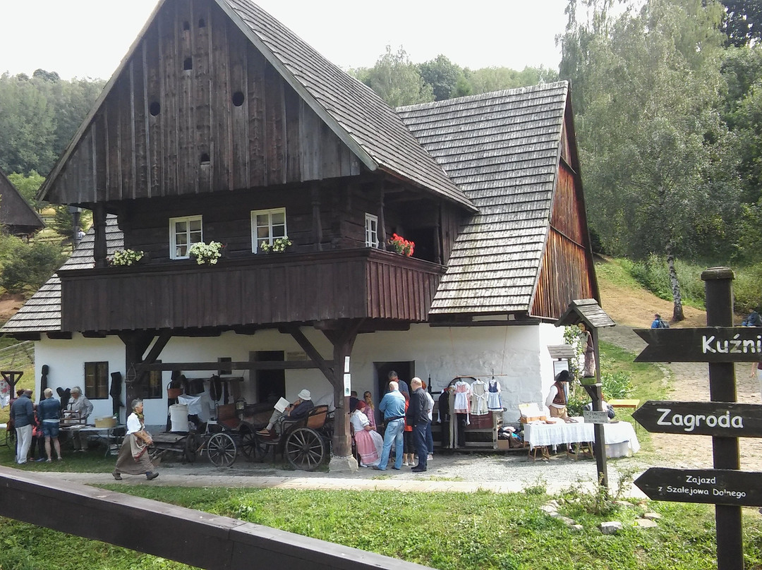 Skansen W Pstraznej景点图片