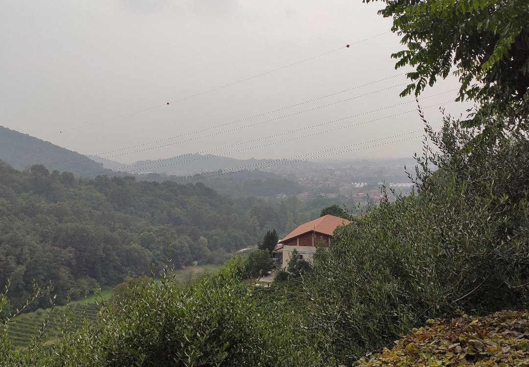Azienda Vitivinicola Eligio Magri景点图片