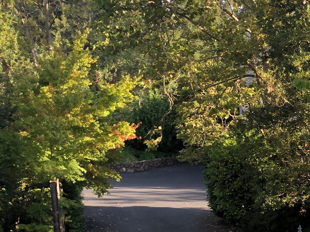 Belle de Jour Inn主图