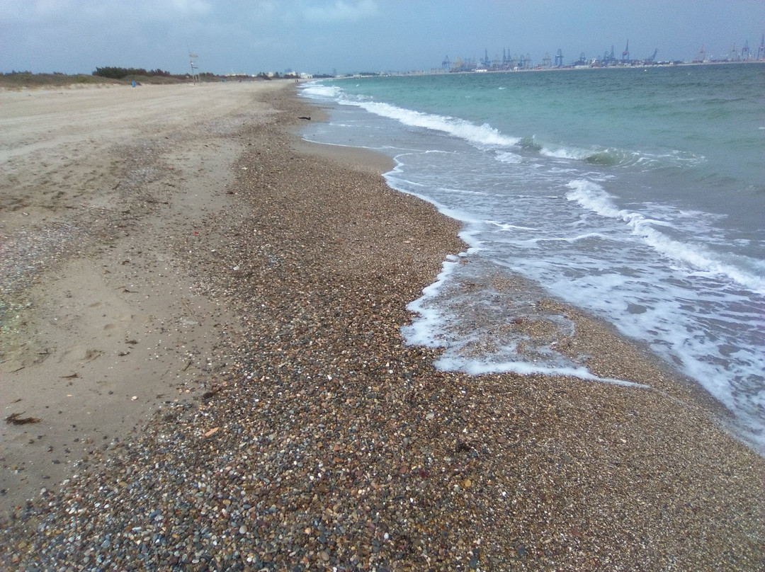 Platja de l'Arbre del Gos