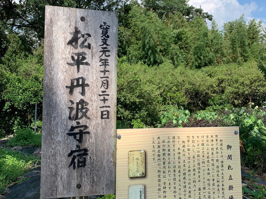 Goyu Street-丰川市必去景点