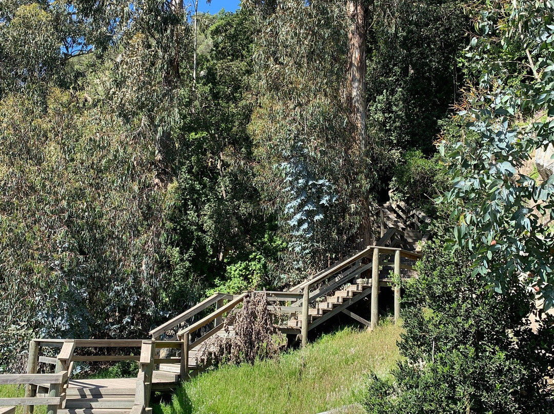 Cuevas De Quivolgo-Constitucion必去景点