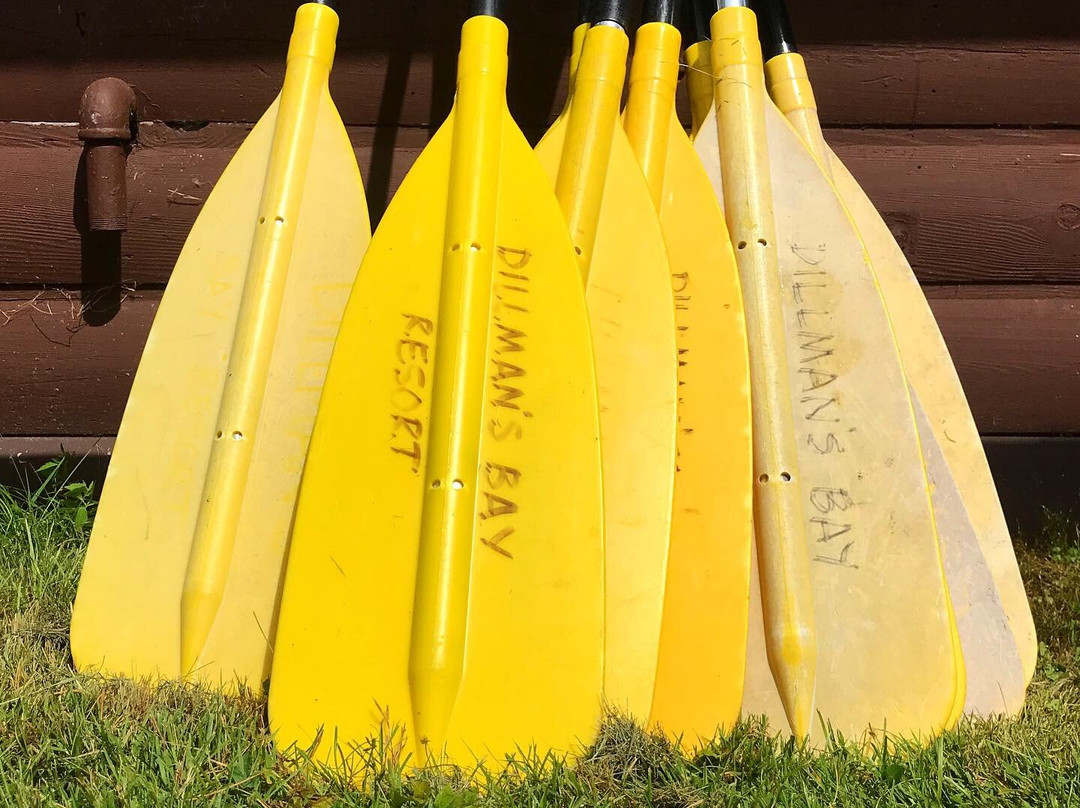 Dillman's Bay Resort主图