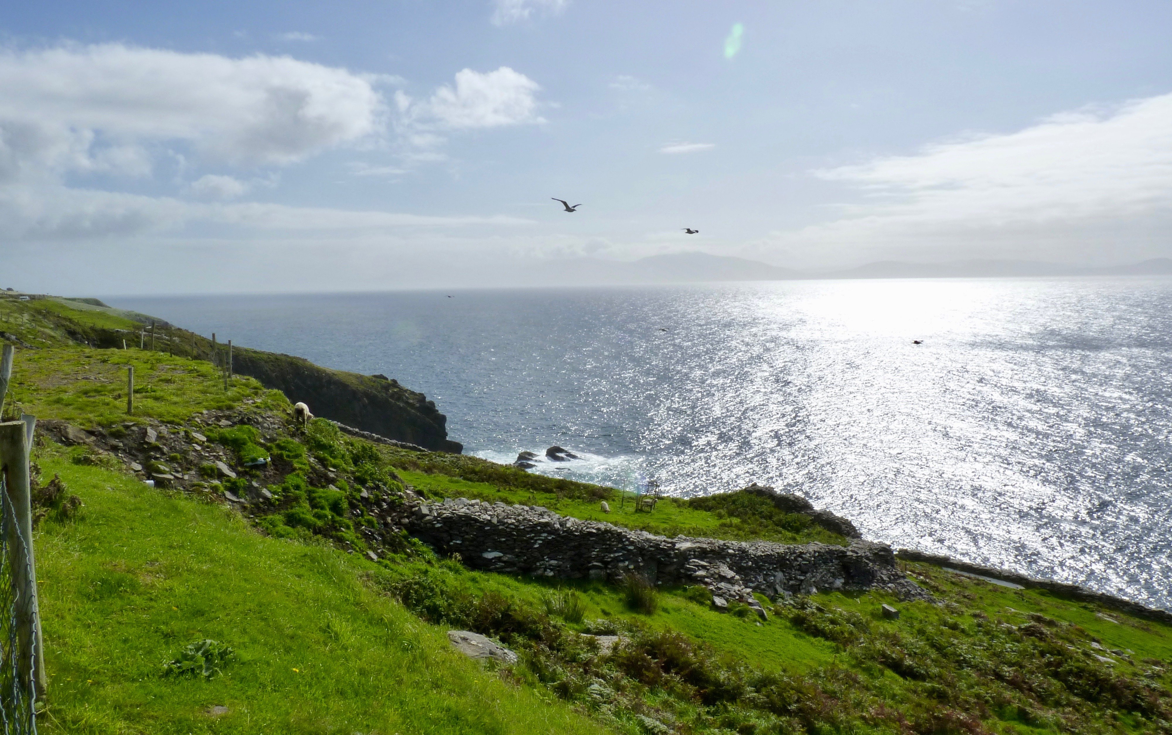 Ceann Tra Heights Bed and Breakfast-官方