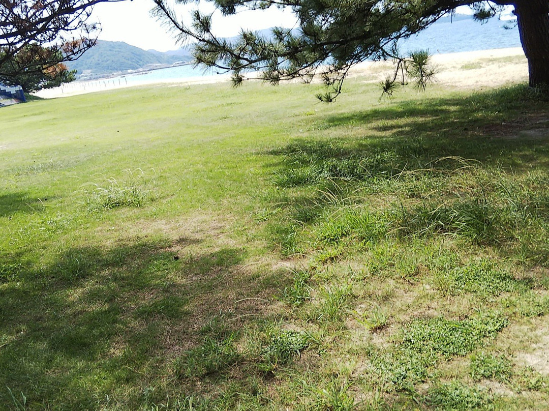 Keino Matsubara Beach-南淡路市必去景点