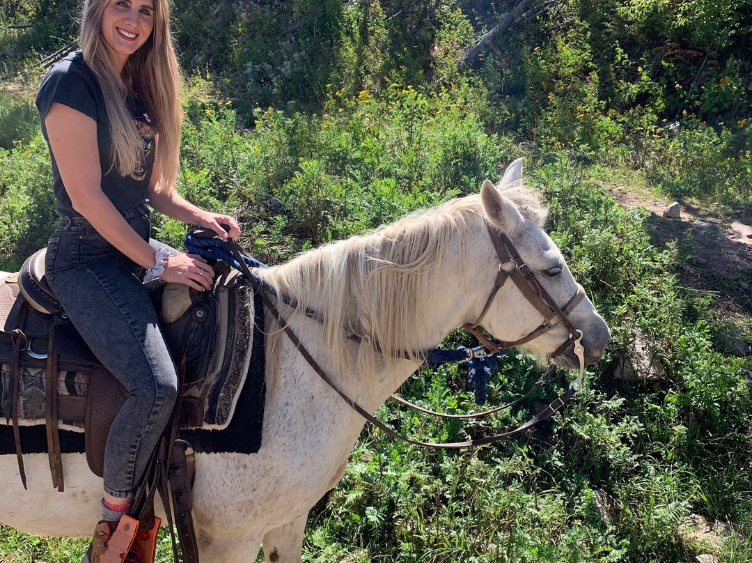 Andy's Trail Rides-Lead必去景点