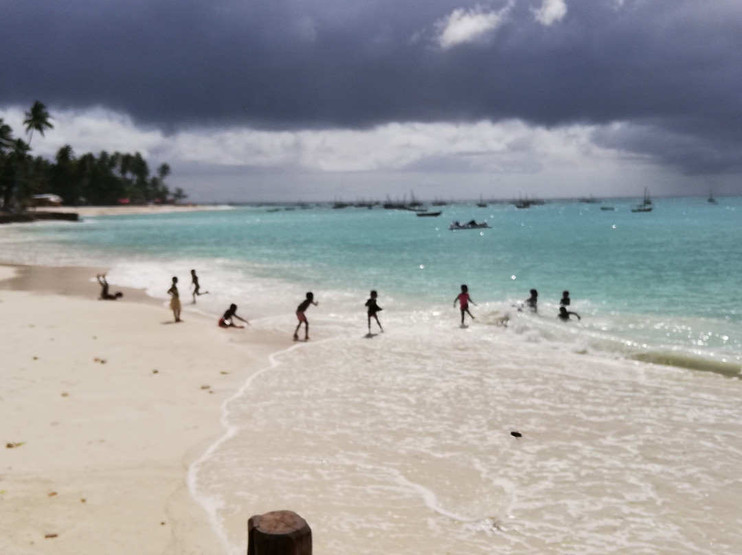 Zanzibar Tours-孥归必去景点