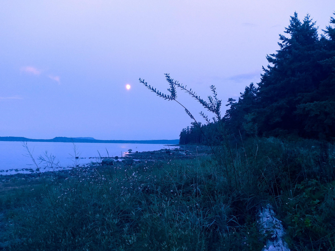 Kingfisher Pacific Resort And Spa主图