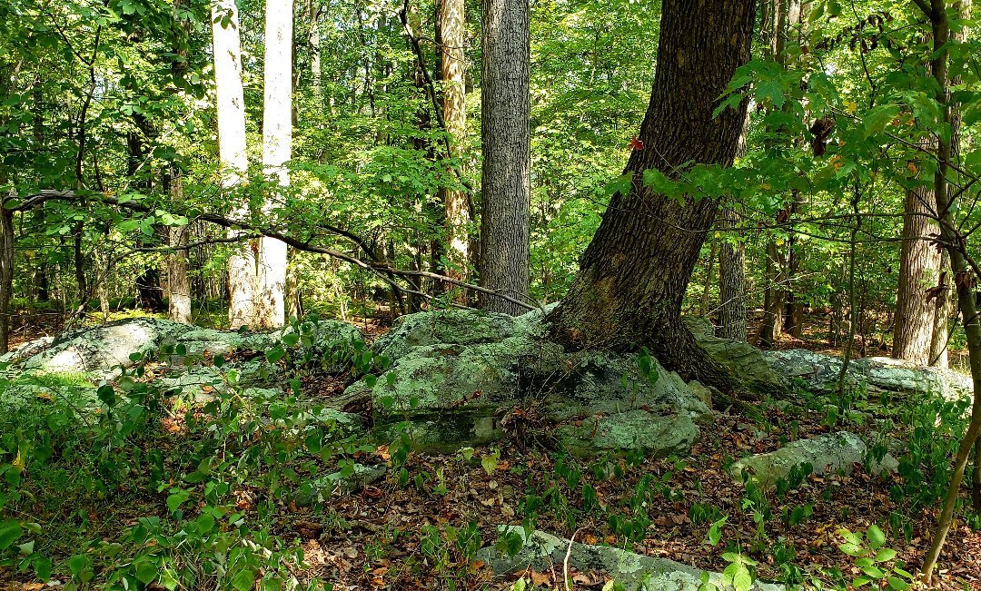 Rocks State Park-Jarrettsville必去景点