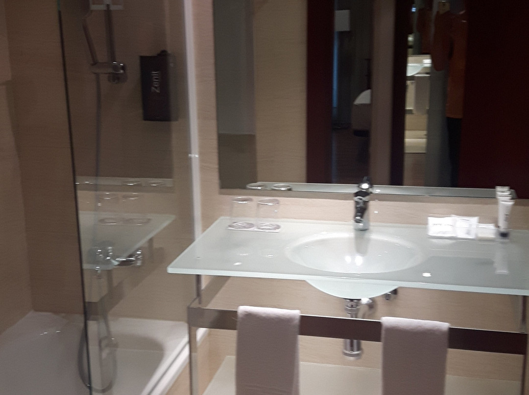 泽尼特莱里达酒店主图