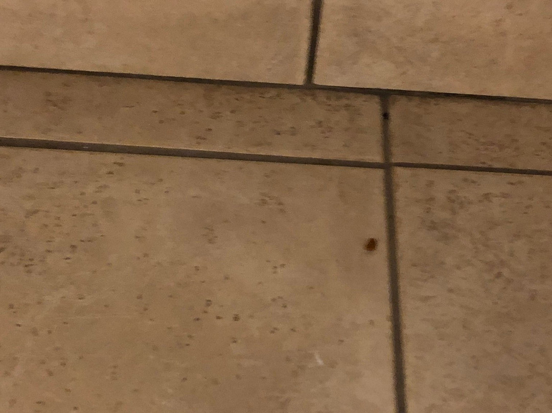 黄石开拓者酒店主图