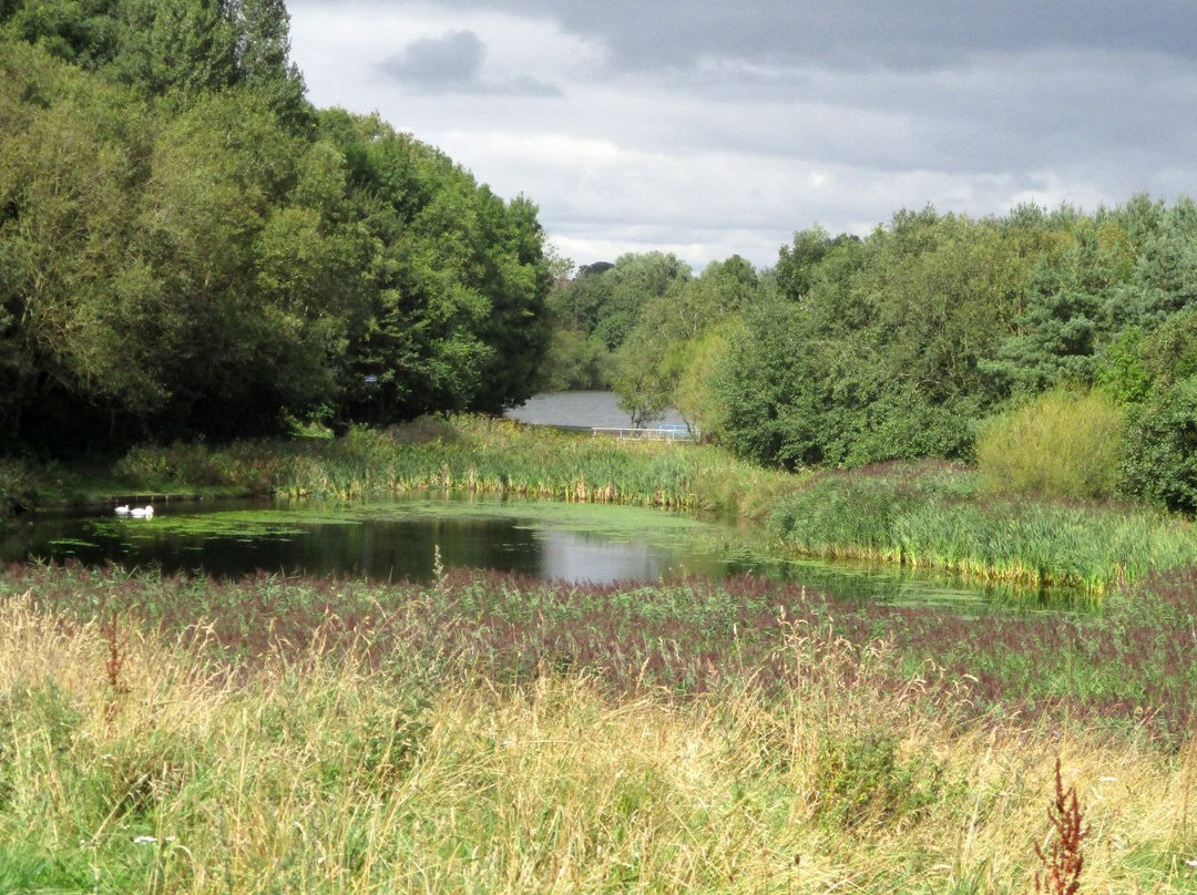 Hetton Lyons Country Park景点图片
