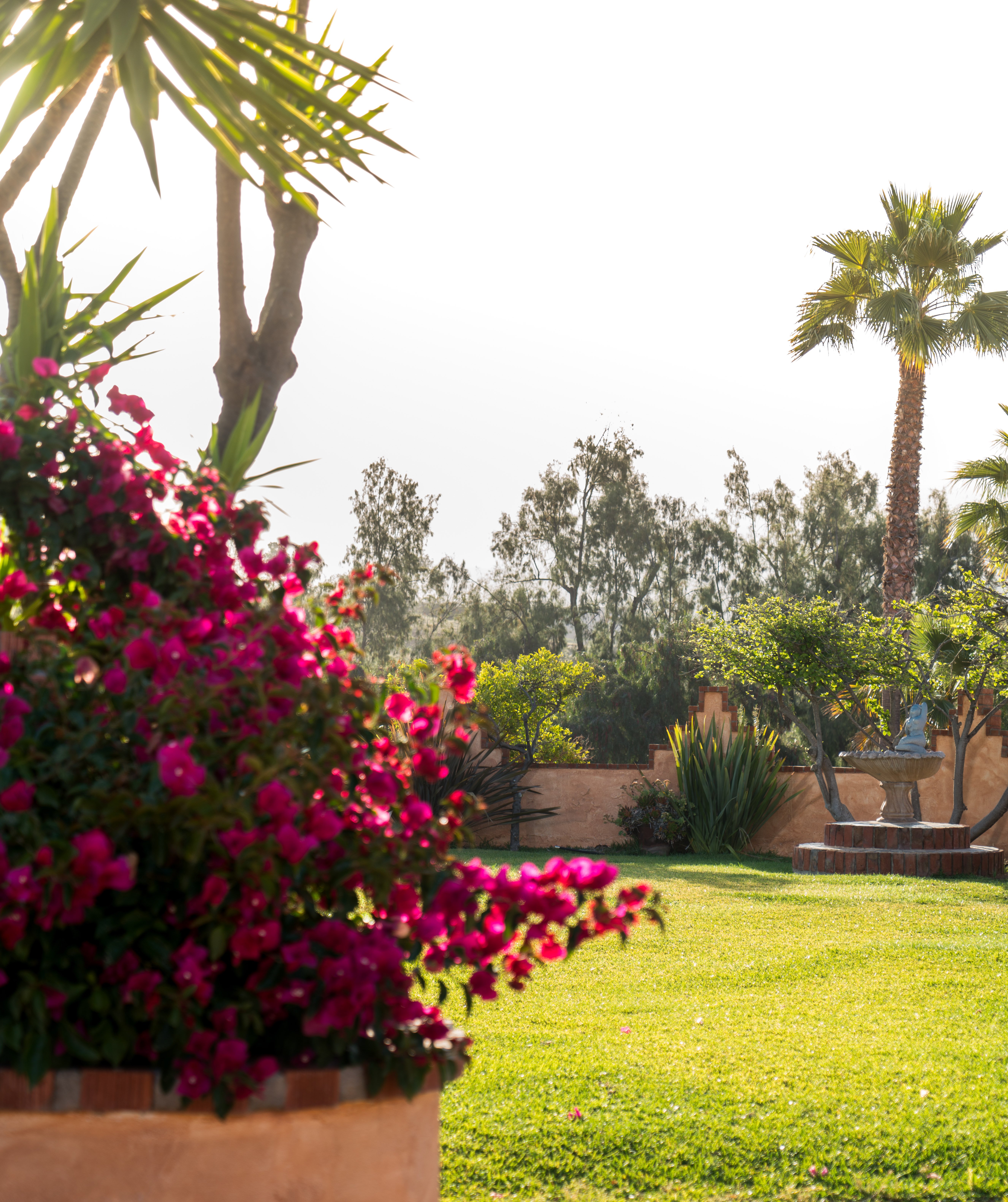 Horsepower Ranch-portrait