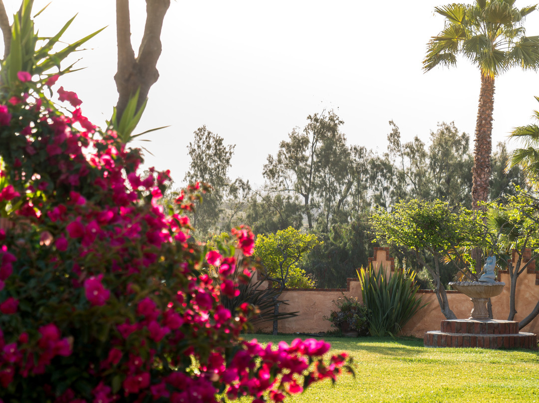 Horsepower Ranch主图