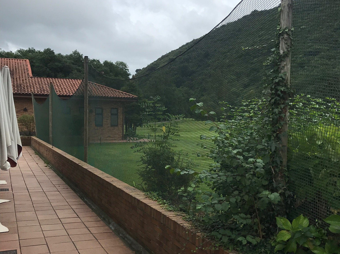 Campo Municipal de Golf Las Caldas景点图片