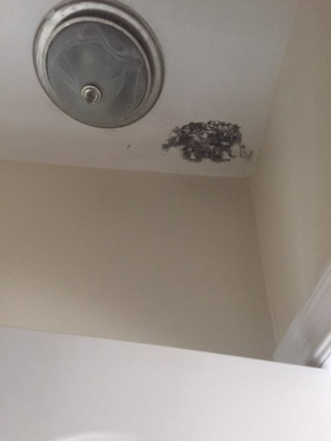 The Palms Hotel Fire Island主图