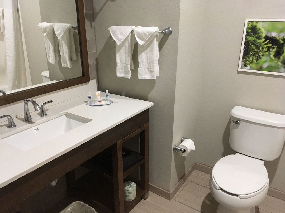 Comfort Inn & Suites主图