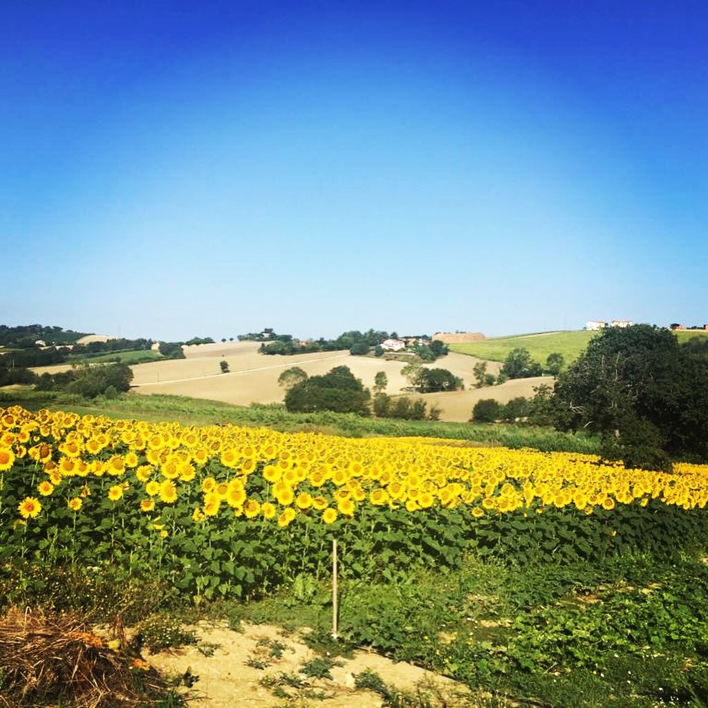 A3Passi Agriturismo tra gli Ulivi-浴室