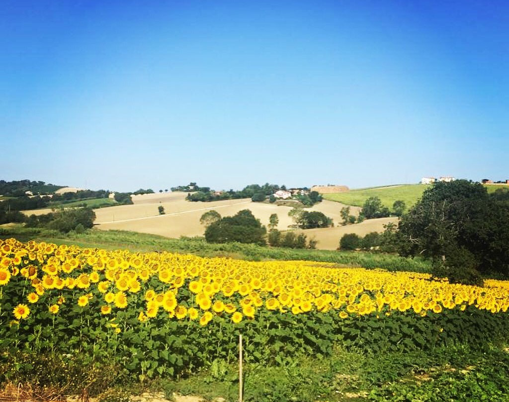 A3Passi Agriturismo tra gli Ulivi主图
